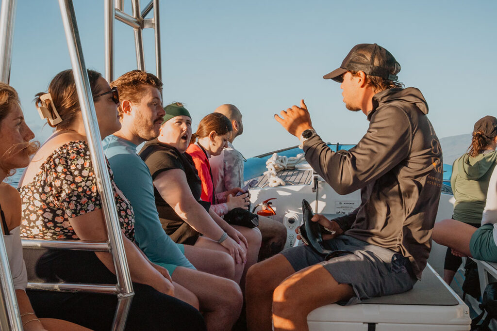 A whale watching tour in Maui during the meteorological spring