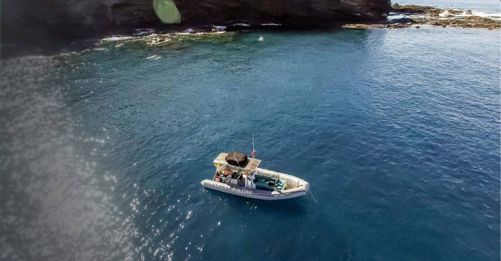 Aloha Friday!