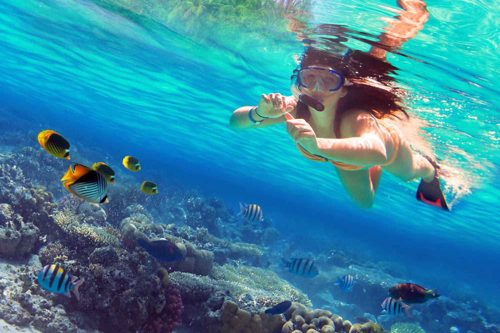 Lanai snorkeling tours