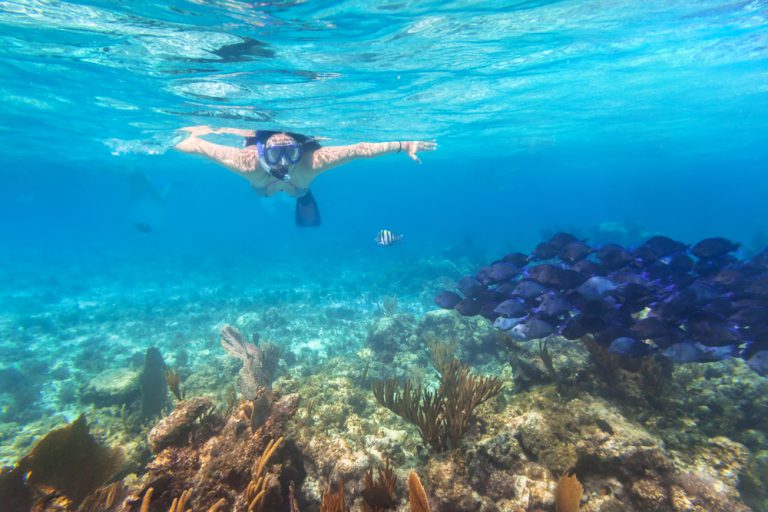 Lanai snorkeling trips!