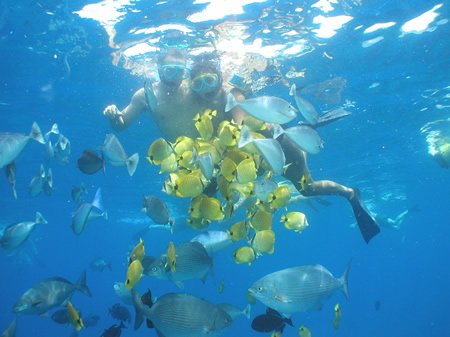 Hāna, Haleakalā, and Snorkeling Lāna’i on One Maui Trip