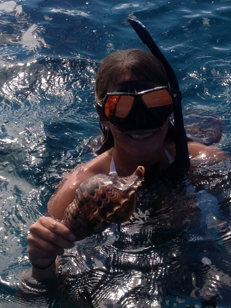 Maui snorkeling and whale watching is what we do!