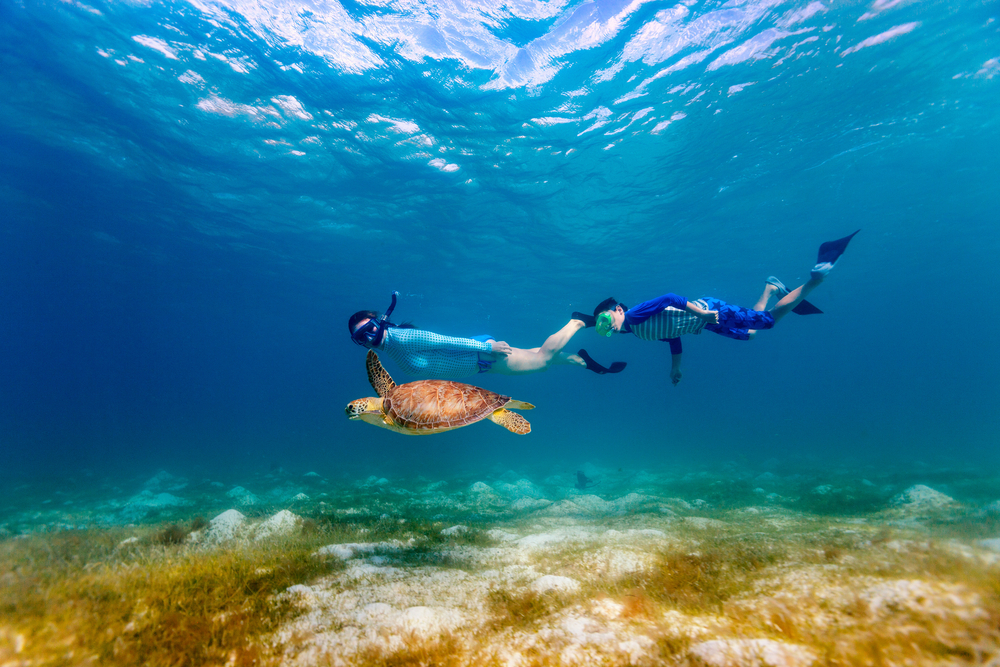 Snorkeling from Lahaina is as good as it gets.