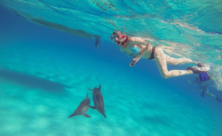 Our snorkeling and dolphin watching tours leave daily from Lahaina Harbor.