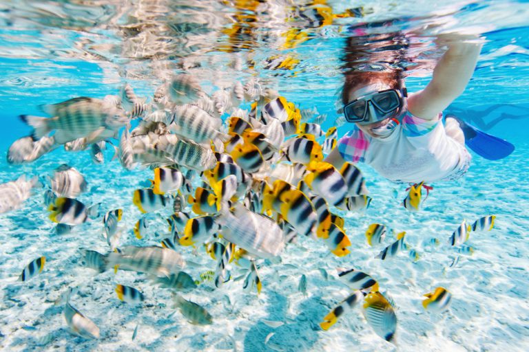 Lanai snorkel trips from Maui are our specialty, hop on our half day tour any day of the week.