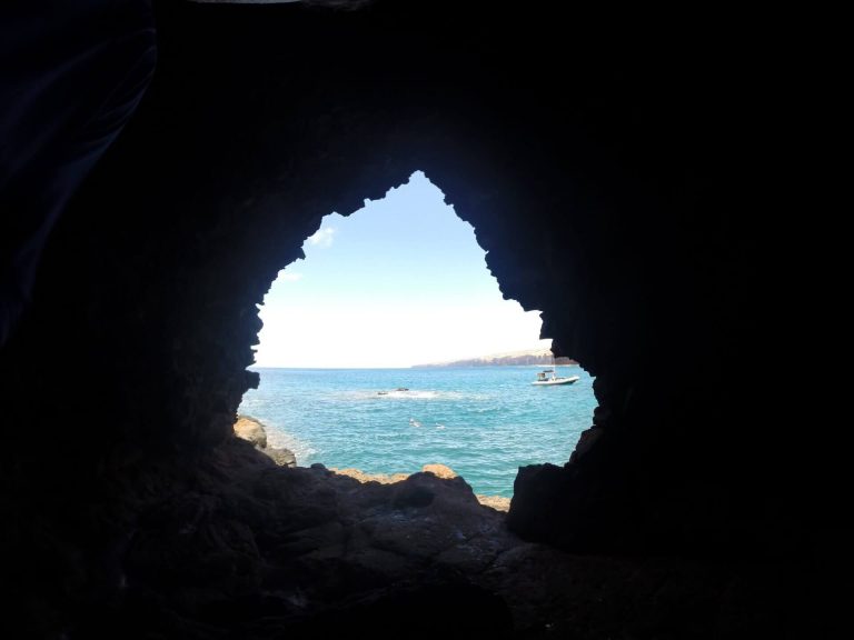 Our half day maui snorkeling tour is our most popular tour.