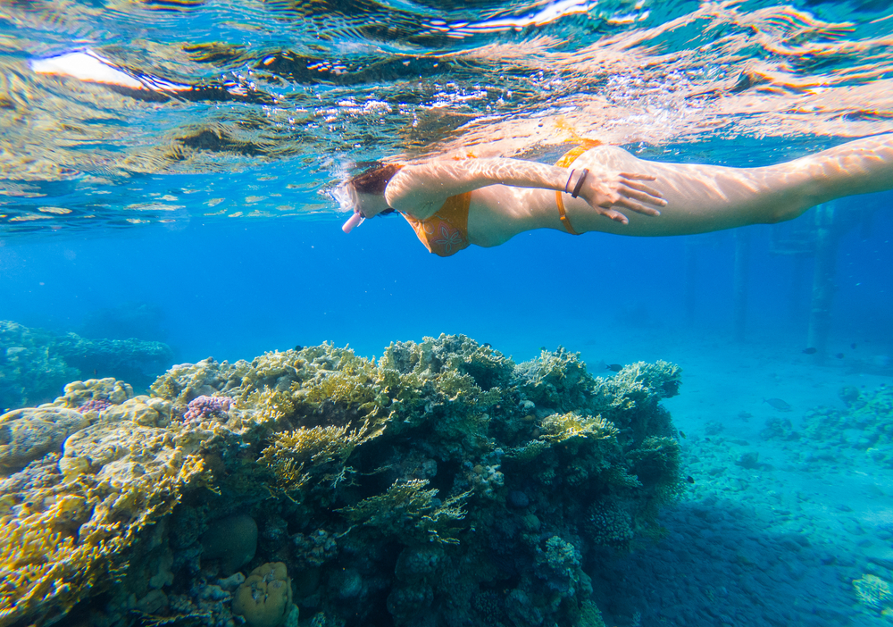 Lanai snorkeling is a blast!
