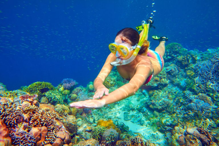 There are many things to see here on Maui, and the marine life should top any list.