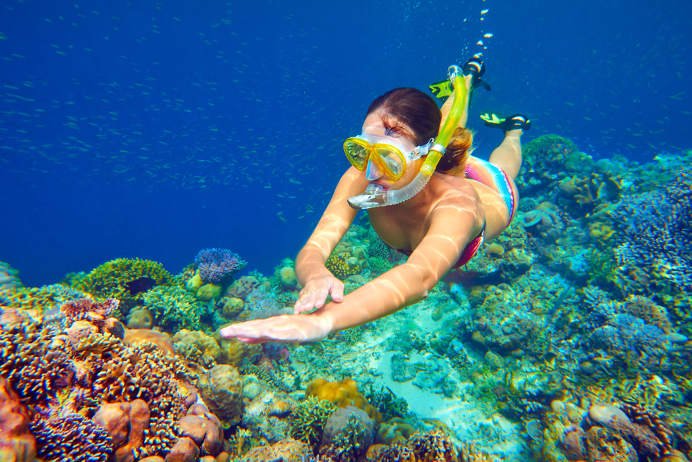 There are many things to see here on Maui, and the marine life should top any list.