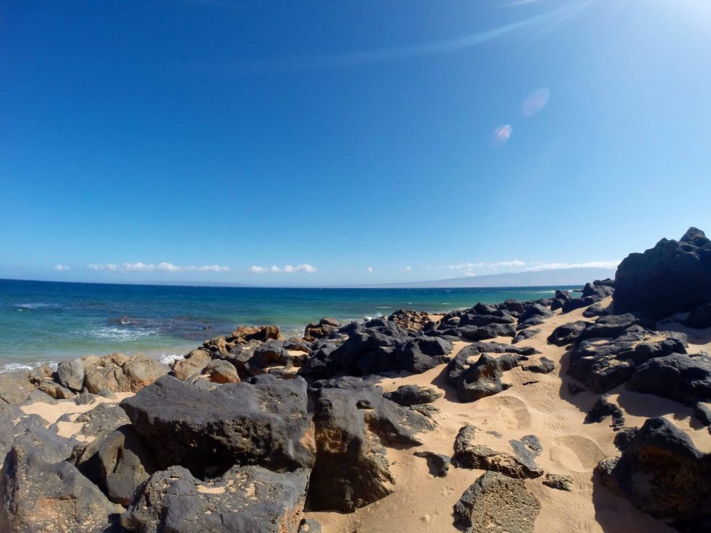 Maui has some truly world class snorkeling.