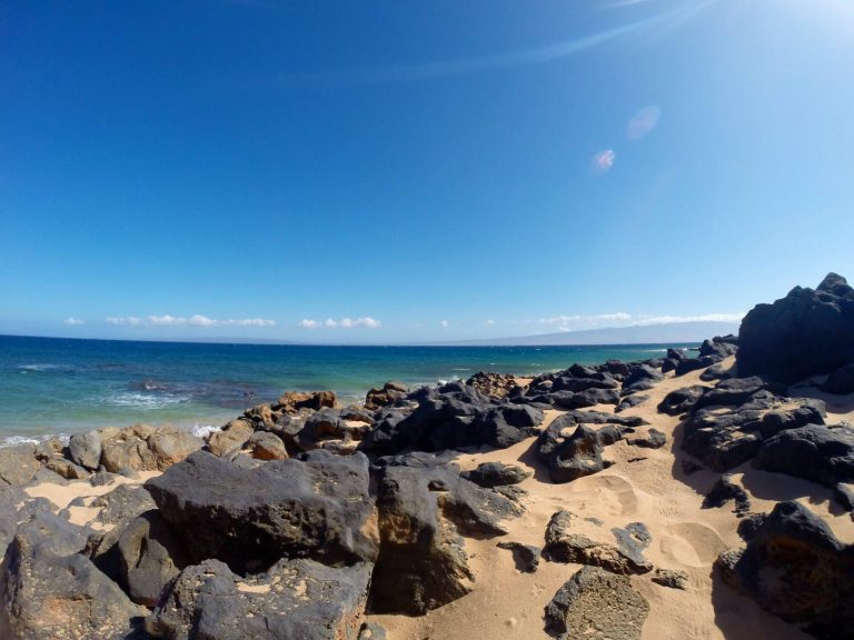 Maui has some truly world class snorkeling.