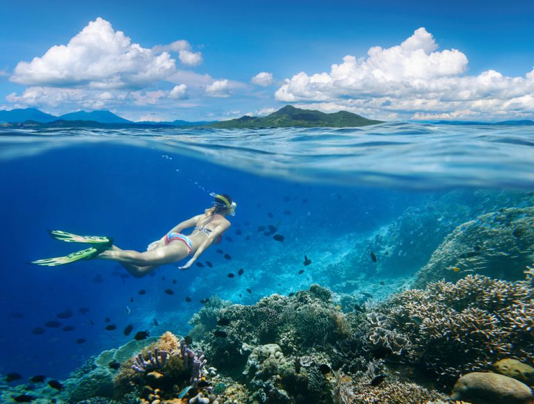 Maui Snorkeling & Whale Watching Tours Options: Half-Day vs Full-Day (Lanai Guide)