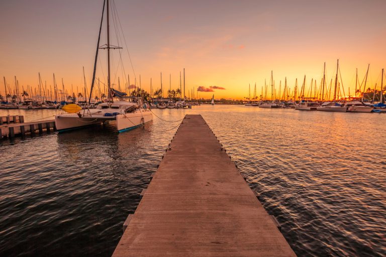 Large vessel vs. Small vessel tours: which is best for you?