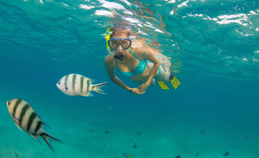 Who’s up for a little Maui snorkeling?