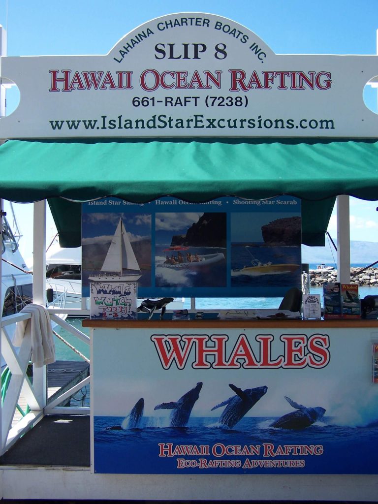 We provide small group snorkeling from Lahaina Harbor on Maui’s majestic West side.