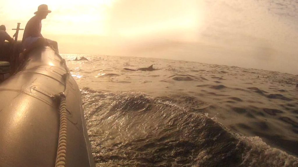 Do you plan on snorkeling in Maui’s crystal waters this summer?
