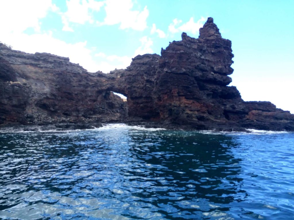 Maui Snorkeling and Whale Watching, our small group tours can’t be beat.
