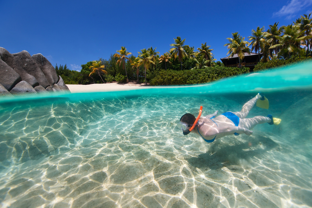 The best Maui snorkeling is found around Lana’i, thats also where the dolphins live!