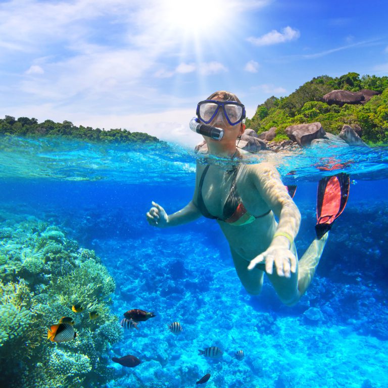 Snorkeling or Whale Watching?