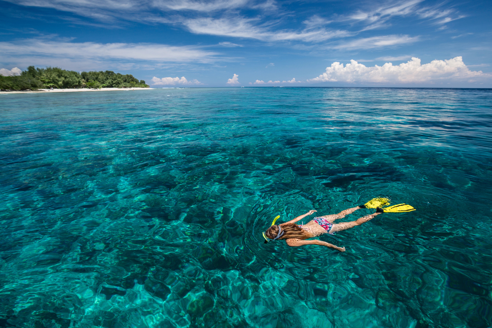 Are you looking for a Maui Adventure?