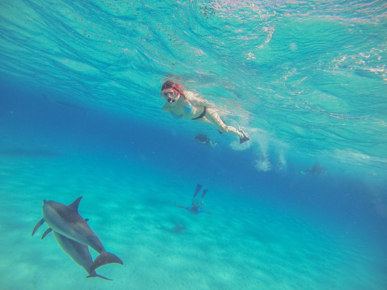 dolphins, turtles, snorkeling and a super fun trip from Lahaina harbor to the pristine waters of Lana’i!