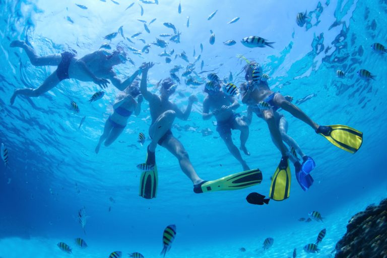 The Half Day Snorkeling Tour Is far and away the favorite!