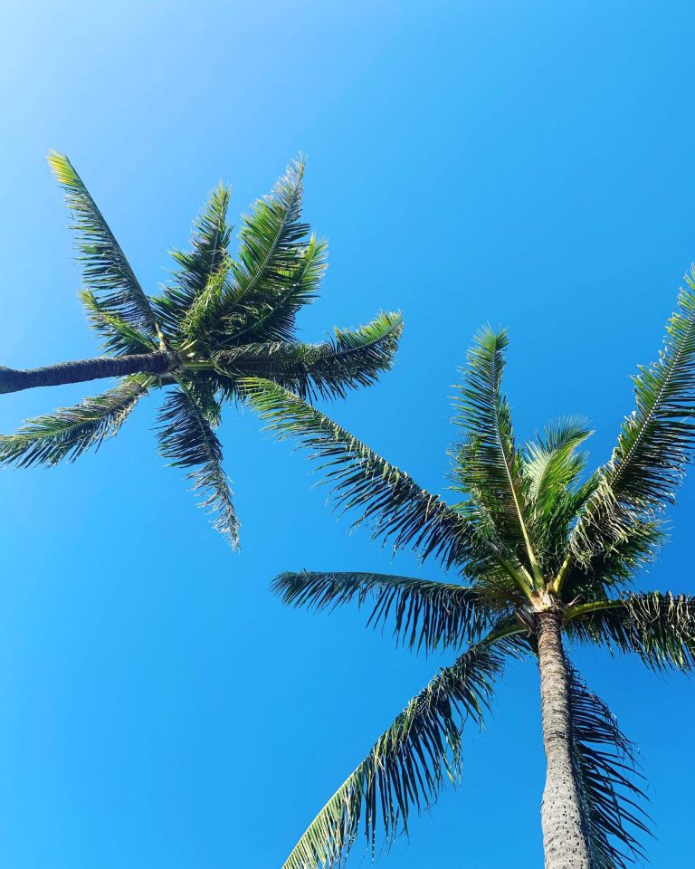 Destination Lanai!