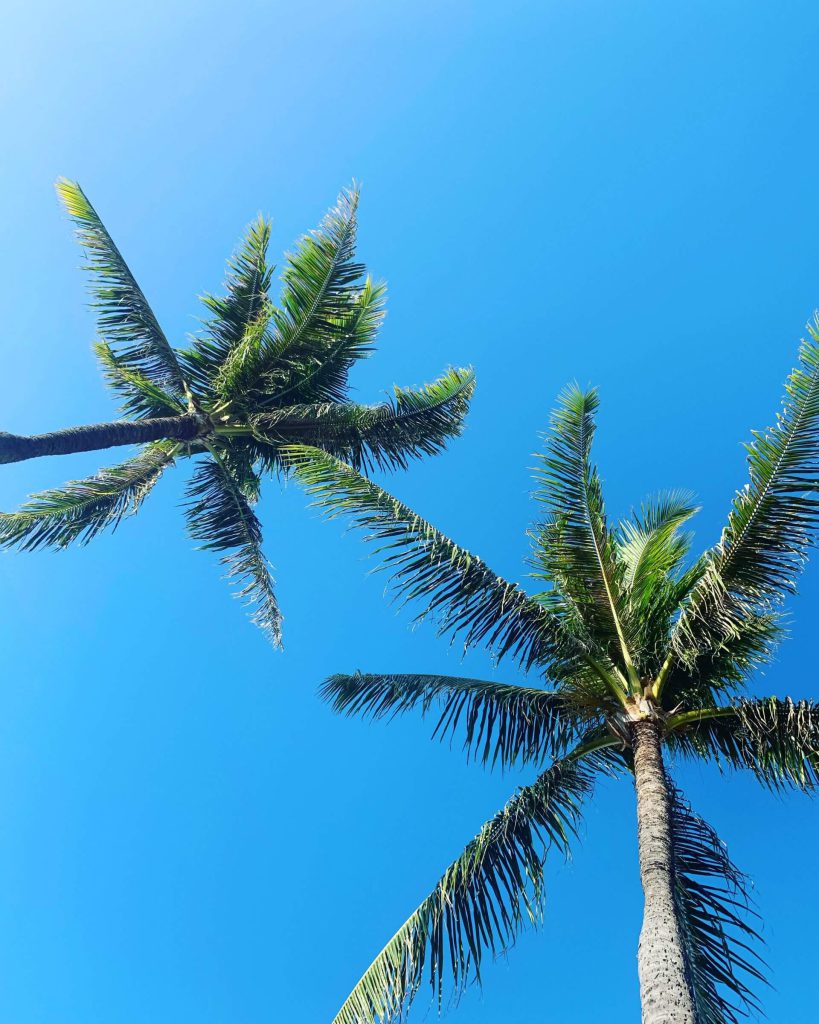 Destination Lanai!