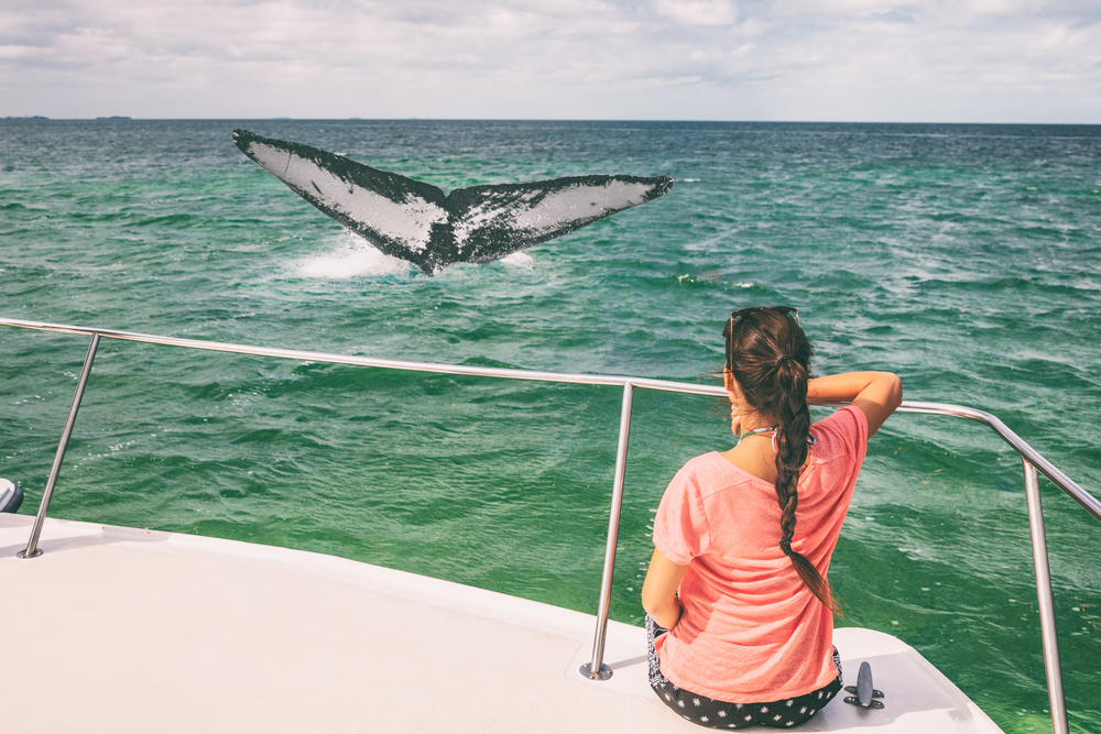 Book your Private Charter Today!