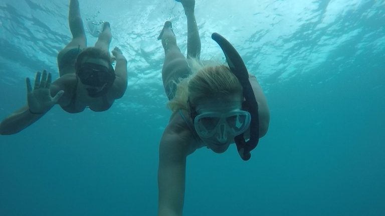 Maui has Such Variety!