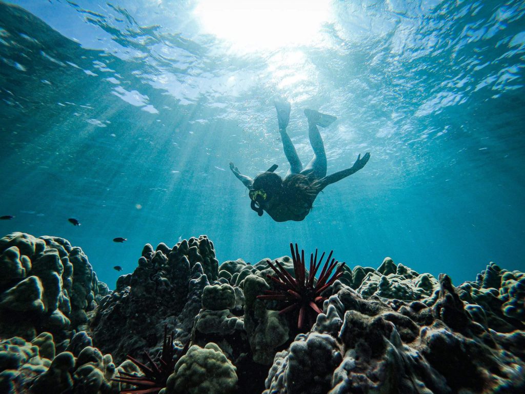 Lanai vs Molokini Snorkeling: What’s the Difference?
