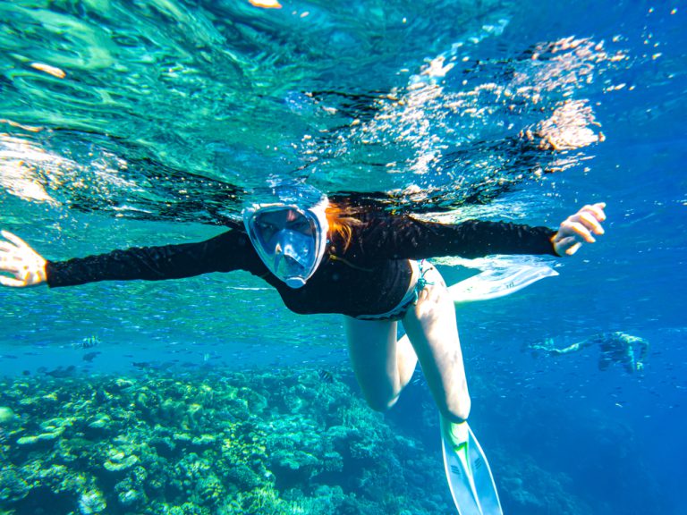 Which Snorkeling Tour Is Best For You?
