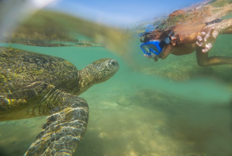 Lanai Snorkeling: 4 Best Spots To Explore Underwater
