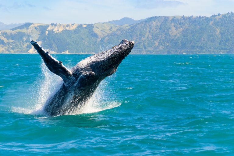 Things To See In Maui: 6 Top Rated Tourist Attractions