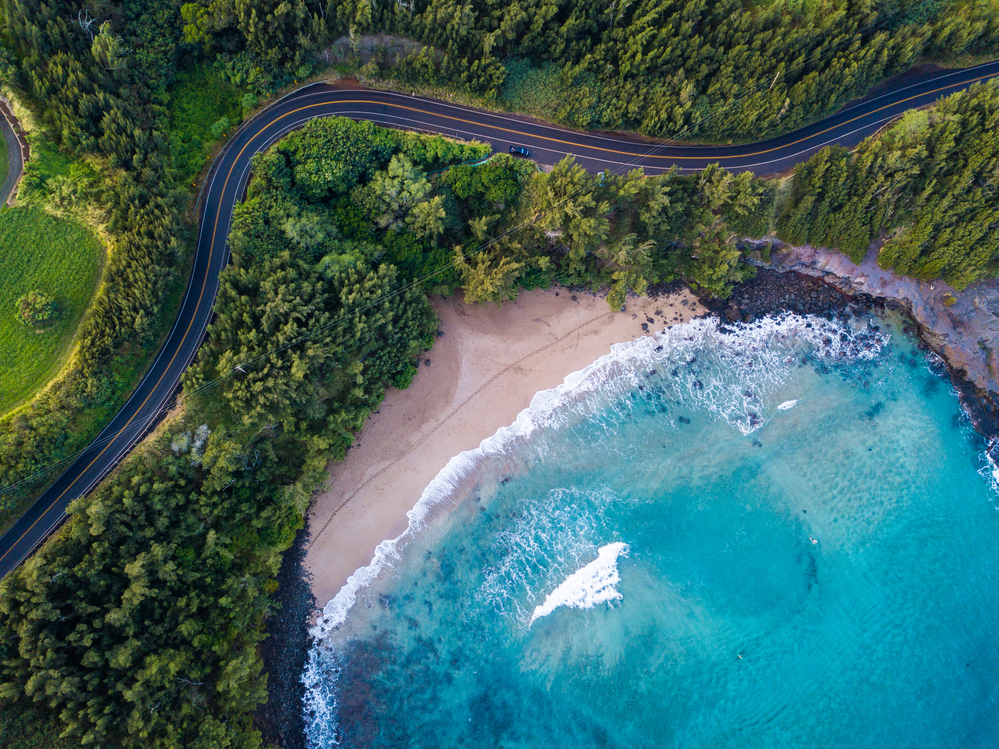 The 5 Most Beautiful Beaches In Maui To Visit