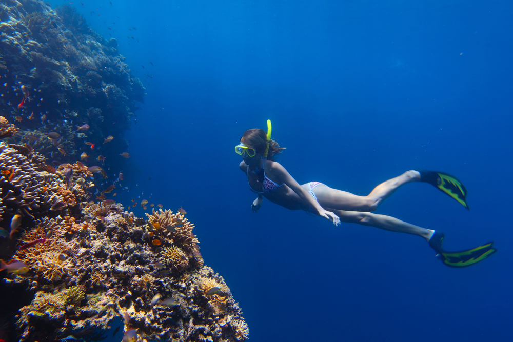 A Guide To Snorkeling Adventures In Maui’s Turtle Town
