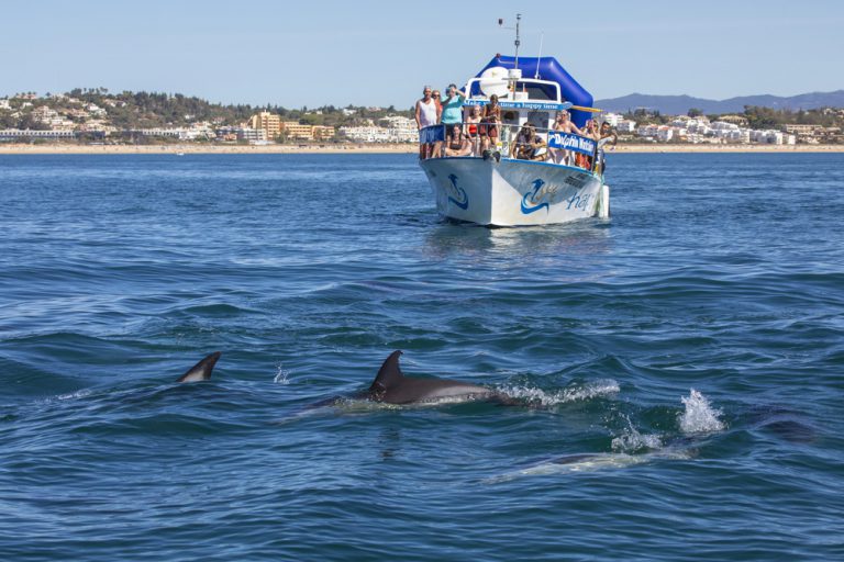 What To Wear On A Dolphin Tour