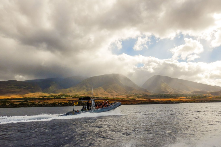 What Businesses Have Reopened In Lahaina, Maui Since The Wildfire?