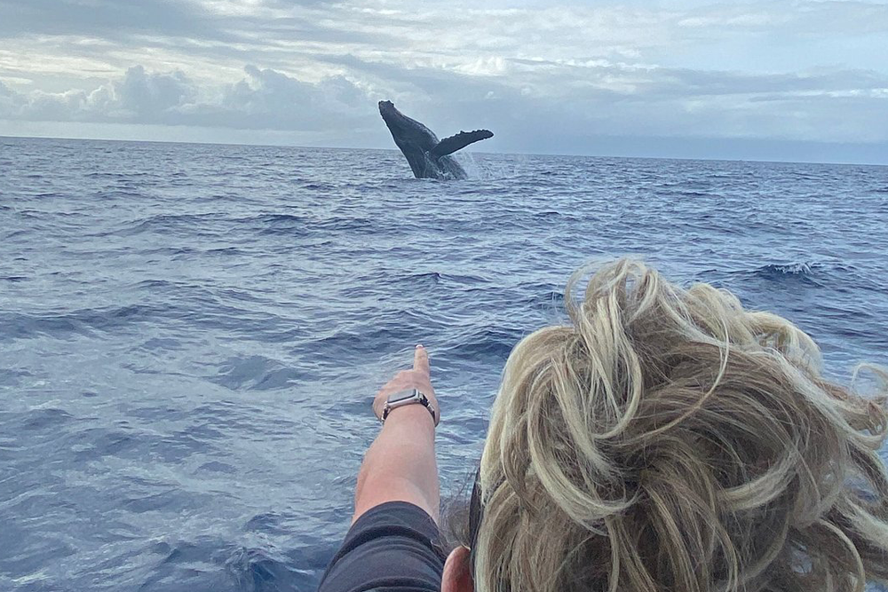Are Blue Whales Endangered?