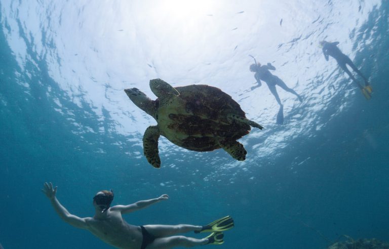 Snorkeling Tips For Non-Swimmers