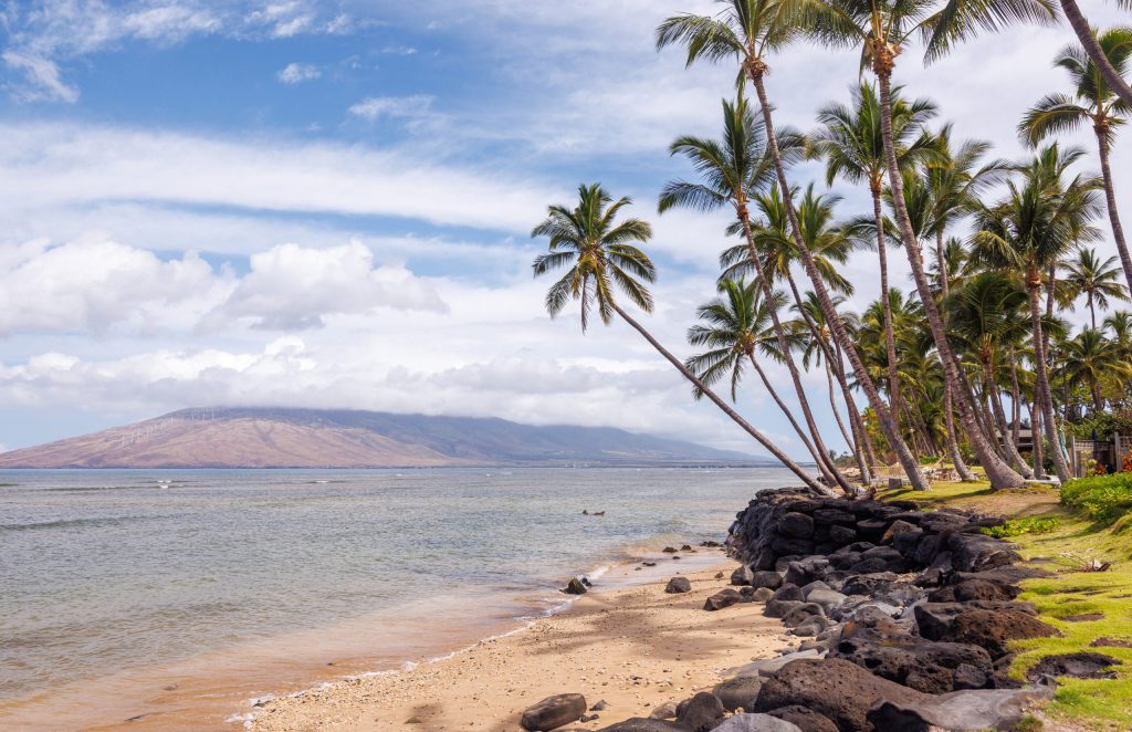 The Best Beaches In Maui For Snorkeling