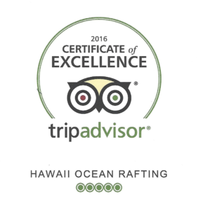 snorkeling with excellent reviews