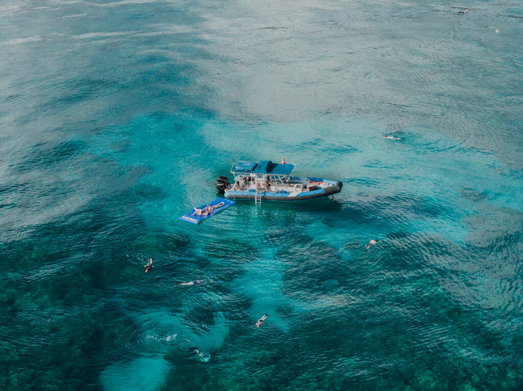 Discover Clear Water and Coral Varieties