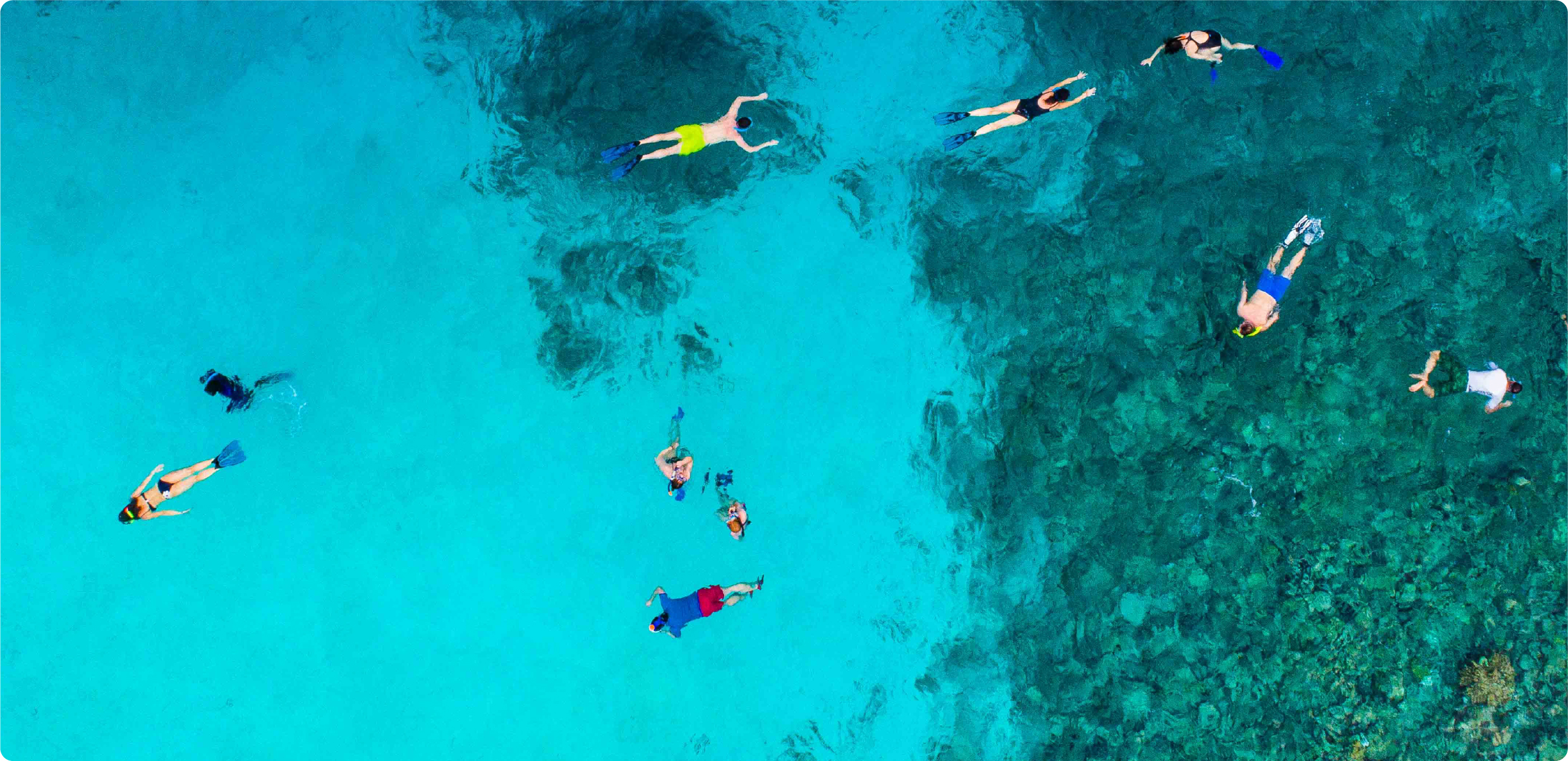 A group of snorkelers exploring the water on a Lanai snorkel tour from Maui