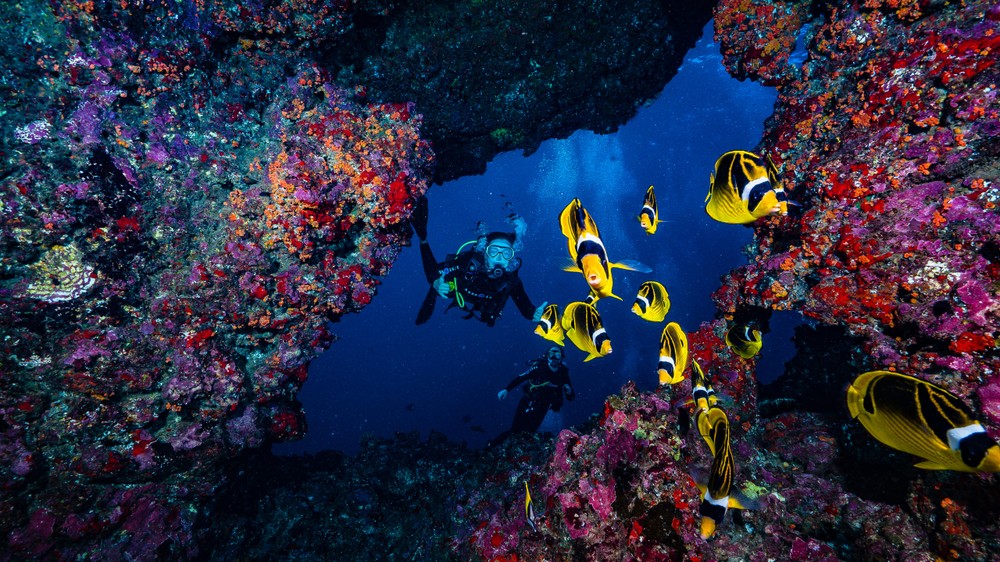 Lanai Cathedral Scuba Dive
