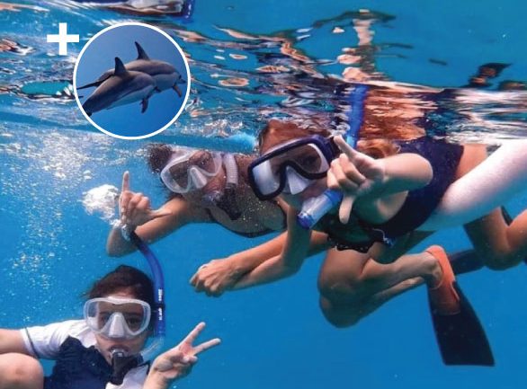 A group snorkeling in Maui on a dolphin tour.