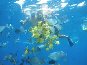 Maui and Lanai snorkeling