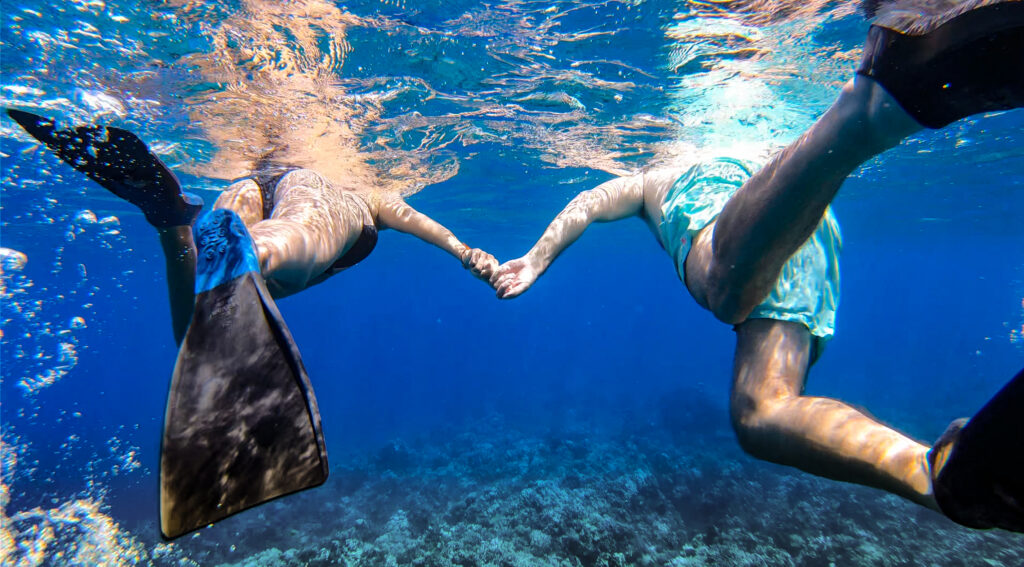 Snorkeling with Turtles in Along West Maui's Coast