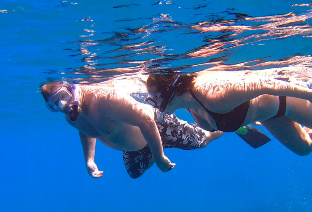 Gear Up and Learn to Snorkel