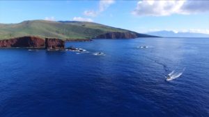 Perfect Time to Visit Maui